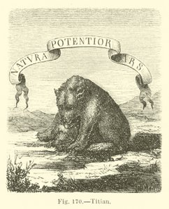 Tizian od English School