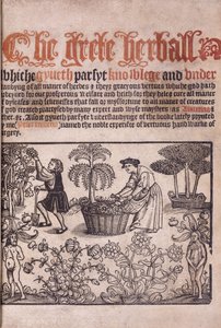 Titulní strana ilustrující zahradní scénu s postavami, 1529 od English School