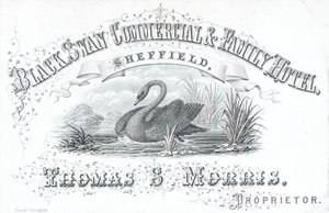 Obchodní karta, Black Swan Commercial & Family Hotel od English School