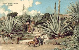 Tresco Abbey Garden, Scilly Isles, Cornwall (barevné lito) od English School