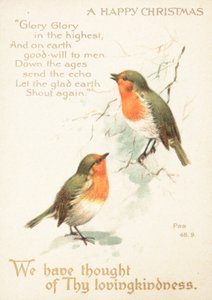 Dva Robins ve sněhu, vánoční přání od English School