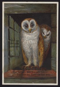 Dvě sovy vyhlížející ze dveří (chromolit) od English School