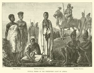 Typické kmeny severozápadního pobřeží Afriky od English School