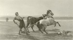 Ulysses brázdí mořské pobřeží (hlubotisk) od English School