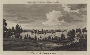Pohled na Chertsey, Surrey (rytina) od English School