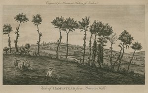 Pohled na Hampstead z Primrose Hill od English School