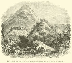 Pohled na Palenque, Mexiko, ukazující pyramidové struktury od English School