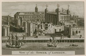 Pohled na Tower of London od English School