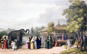Návštěvníci londýnské zoo v Regent
