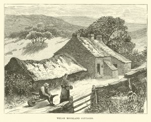 Chaty Welsh Moorland od English School