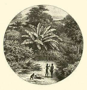 západní Afrika od English School