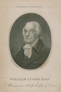 William Curtis, Alderman a poslanec za City of London; Lord starosta Londýna 1788 od English School