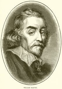 William Harvey od English School