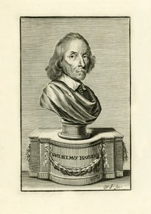 William Harvey od English School