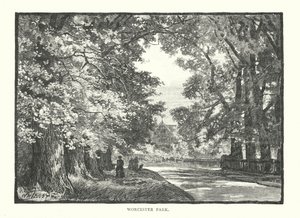 Worcester Park (rytina) od English School