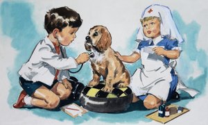 Mladí veterináři od English School