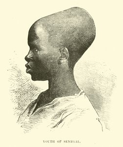 Mládež Senegalu od English School