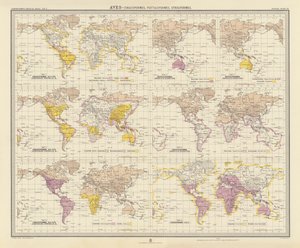 Zoogeografie: (barevná litografie): Aves, Coraciiformes, Psittaciformes, Strigiformes (barevná litografie) od English School
