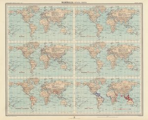 Zoogeografie: (barevná litografie). od English School