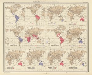 Zoogeografie: (barevná litografie). od English School