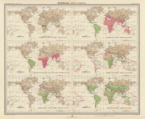 Zoogeografie: (barevná litografie). od English School