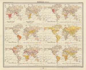 Zoogeografie: (barevná litografie) od English School