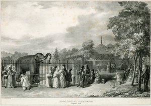 Zoologická zahrada, Regents Park od English School