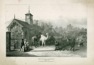 Zoologische Gärten, Regents Park von English School