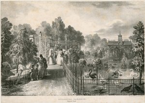 Zoologická zahrada, Regents Park od English School