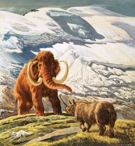 Mamut se setkává s nosorožcem (kvaš na papíře)