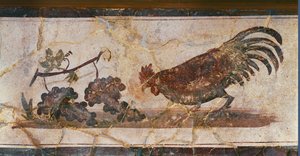 Kohout a hrozny, Herculaneum, Itálie (freska)