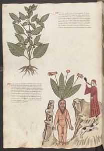 Celá strana: text a miniatury: (miniatura): " Mercurela " (miniatura) od Erich Lessing