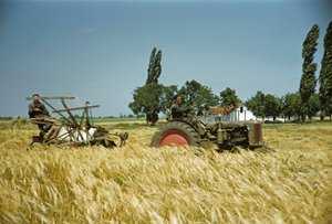  od Erich Lessing