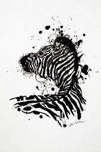 Divoká zebra – rozstřik inkoustu od Erik Van Velzen