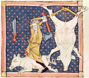 Fol.59v Prosinec: Zabíjení prasat (pergamen)