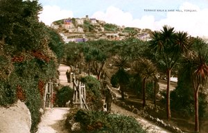 Terrace Walk a Vane Hill, Torquay, Devon, počátek 20. století. od Ern Bishop