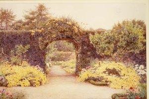 July Gold, Abbey Leix, Irsko