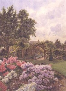 rododendrony od Ernest Arthur Rowe