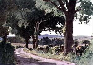 Scéna poblíž Pulborough, West Sussex