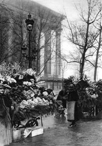 Květinový trh v Madeleine, Paříž, 1931