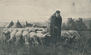 Pikardiský pastýř, 1919 od Ernest George Beach