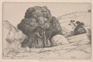 Kupka sena