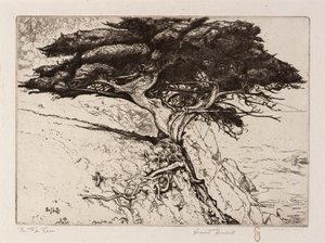 Strom vějířů od Ernest Haskell