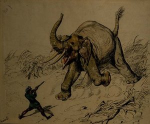 Elephant Shoot (pero a inkoust, akvarel na papíře) od Ernest Henry Griset