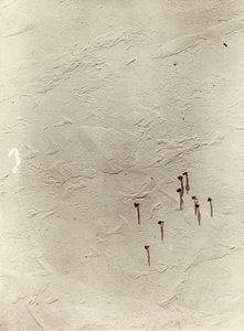 Pohled z balonu dolů přes náhorní plošinu směrem k "Discovery" (1901). Z alba sira Ernesta Henryho Shackletona s názvem Národní antarktická expedice (1901-1903). od Ernest Henry Shackleton