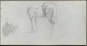 Náčrtník, strana 73: Studie koně, profil. od Jean Louis Ernest Meissonier