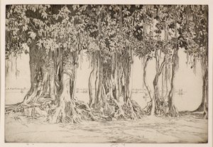 Banyan Tree