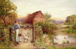 Přivést domů ovce