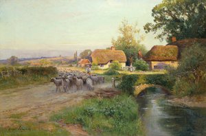 Returning to the Fold (olej na plátně)