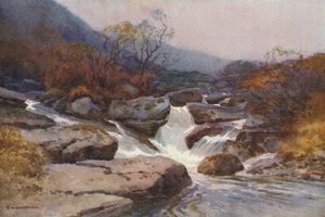 A Dartmoor Stream (barevné lito) od Ernest William Haslehust